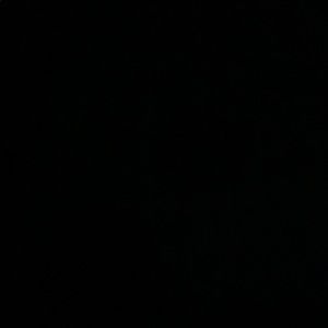 Meet your Posher, Devin